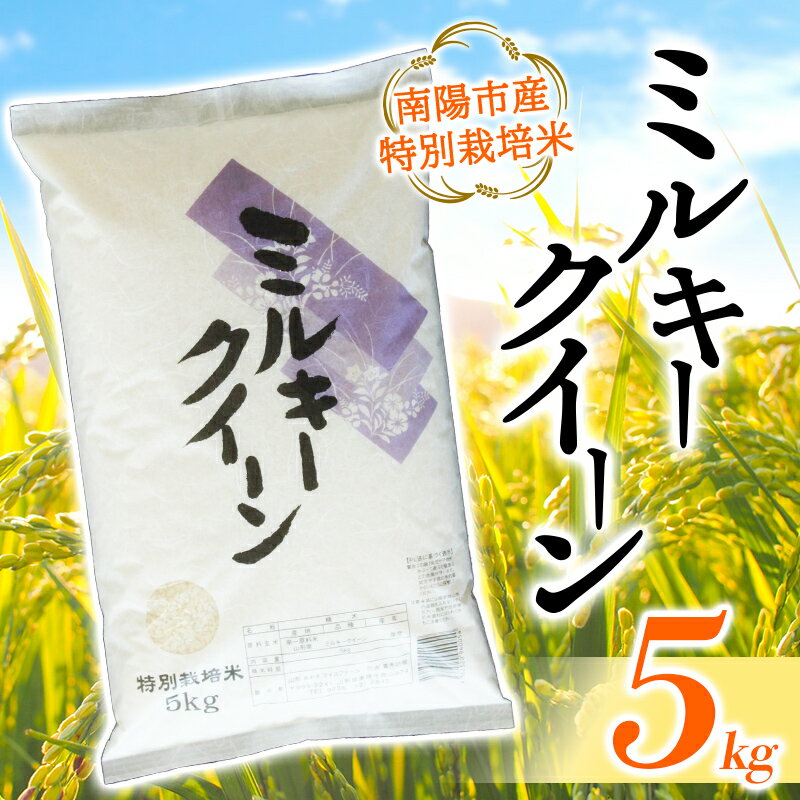 【あおきライスファーム】 令和5年産 南陽市産 特別栽培米 ミルキークイーン 5kg 《2023年10月中旬より発送予定》 山形県 南陽市 1549-R5