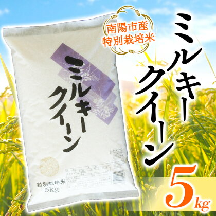 【あおきライスファーム】 令和5年産 南陽市産 特別栽培米 ミルキークイーン 5kg 《2023年10月中旬より発送予定》 山形県 南陽市 1549-R5