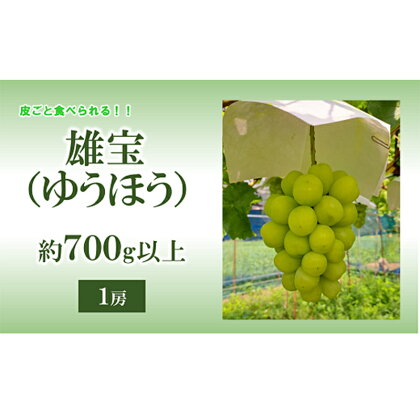 【令和6年産先行予約】 【数量限定】大粒ぶどう ［雄宝 (ゆうほう)］ 約700g以上 (1房 秀以上) 《令和6年8月下旬～発送》 『安久津農園』 ぶどう 果物 フルーツ ブドウ 山形県 南陽市 [1920]