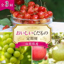 【ふるさと納税】 【令和6年産先行予約】 おいしいくだもの定
