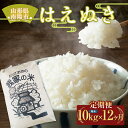 13位! 口コミ数「0件」評価「0」 《定期便12回》 令和5年産 はえぬき (精米) 10kg×12か月 『田口農園』 米 山形県 南陽市 [1925]