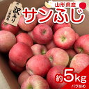   〈訳あり品 家庭用〉 りんご 「サンふじ」 約5kg バラ詰め 《令和6年12月上旬～令和7年2月下旬発送》 『カネタ高橋青果』 リンゴ 山形県 南陽市 