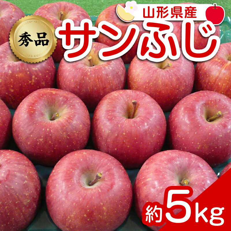 [令和6年産先行予約] りんご 「サンふじ」 約5kg (12〜23玉 秀品) [令和6年12月上旬〜令和7年2月下旬発送] 『カネタ高橋青果』 リンゴ 山形県 南陽市 [1960]