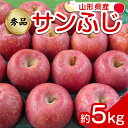   りんご 「サンふじ」 約5kg (12～23玉 秀品) 《令和6年12月上旬～令和7年2月下旬発送》 『カネタ高橋青果』 リンゴ 山形県 南陽市 