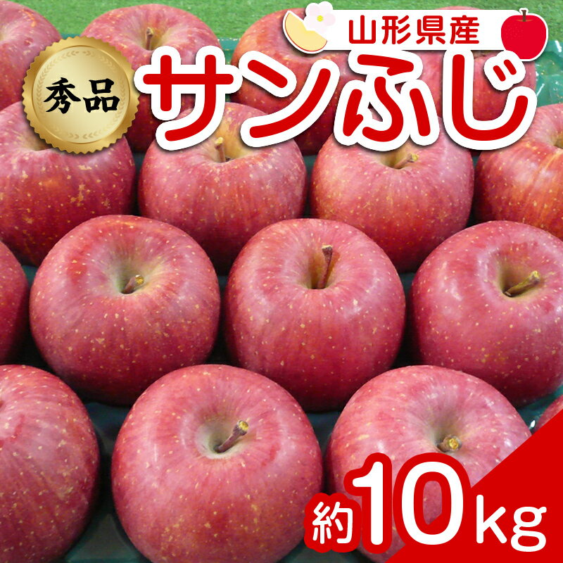 【ふるさと納税】 【令和6年産先行予約】 りんご 「サンふじ」 約10kg (24～46玉 秀品) 《令和6年12月上旬～令和7年2月下旬発送》 『カネタ高橋青果』 リンゴ 山形県 南陽市 [1961]