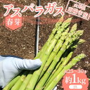 返礼品詳細 名称 アスパラガス 内容量 約1kg L～2Lサイズ（約26cm、20g～50g） 約30～50本前後 産地 山形県南陽市 賞味期限 到着後2日以内 ※消費期限の短いお品ですので、お受け取りにはご注意ください。 保存方法 - 配送方法 冷蔵 発送期日 令和6年5月上旬～6月中旬頃に順次発送 ※天候により収穫時期が前後する可能性があります。 事業者 みつば農園 商品管理番号 F22F-974 ※注意事項 ※画像はイメージです。 ※大変申し訳ございませんが沖縄県および離島への発送はできかねますのでご了承ください。 ・ふるさと納税よくある質問は こちら ・寄付申込みのキャンセル、返礼品の変更・返品はできません。あらかじめご了承ください。【ふるさと納税】 【令和6年産先行予約】 アスパラガス (春芽) 約1kg (L～2Lサイズ 約30～50本前後) 《令和6年5月上旬～発送》 『みつば農園』 山形県 南陽市 【令和6年産先行予約】 アスパラガス (春芽) 約1kg (L～2Lサイズ 約30～50本前後) 《令和6年5月上旬～発送》 『みつば農園』 山形県 南陽市 山形県南部に位置する南陽市、広大な自然の恵みを受け栽培しているアスパラガスです。 5月～6月中旬までの春芽は甘味が強く柔らかいことが特徴です。 【予めご了承ください】 ・天候により収穫時期が前後するためお届け日の指定はできません。 ・消費期限の短いお品ですので、お受け取りにはご注意ください。 ※画像はイメージです。 ※大変申し訳ございませんが沖縄県および離島への発送はできかねますのでご了承ください。 検索キーワード： 山形 南陽市 アスパラガス アスパラ 春採り 春芽 先行予約 L L 2L 2L 1kg 50～90本 50本 90本 柔らかい