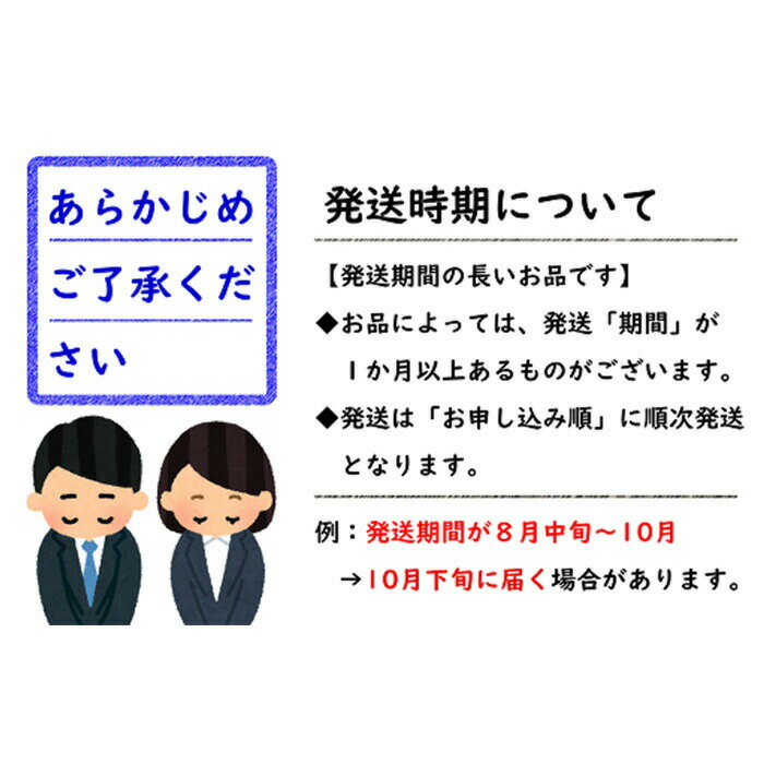 【ふるさと納税】 【令和6年産先行予約】 ふじりんご 約5kg (10～18玉 秀品) 《令和6年11月中旬～12月下旬発送》 『フードシステムズ』 山形県 南陽市 [851-R6]