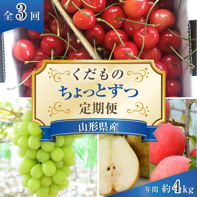 【ふるさと納税】 【令和8年産先行予約】 《定期便3回》 くだもの”ちょっとずつ”定期便 『南陽中央青果市場』 さくらんぼ シャインマスカット りんご ラ・フランス 山形県 南陽市 [1013-R8]