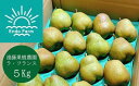 【ふるさと納税】 【令和7年産先行予約】 【ネオニコフリー】 〈家庭用〉 ラ・フランス 約5kg (18~20玉 秀 L~2L) 《令和7年11月上旬~発送》 ...