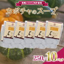 【ふるさと納税】 カボチャのスープ (250g×計10袋) 『欧風レストラン 西洋葡萄』 山形県 南陽市 [2007]