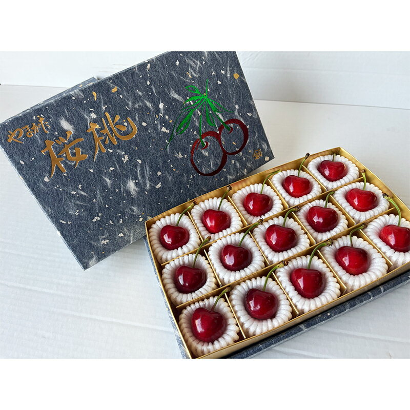 【ふるさと納税】 【令和8年産先行予約】 【農林水産大臣賞受賞農家】 さくらんぼ 「やまがた紅王」 15個詰 (秀以上 3L) 《令和8年6月中旬～発送》 『長谷部農園』 サクランボ 果物 フルーツ 産地直送 生産農家直送 山形県 南陽市 [2053]