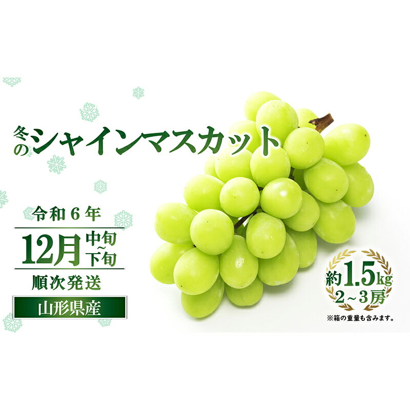 [令和6年産先行予約] JA 冬のシャインマスカット 約1.5kg (2〜3房 秀) [令和6年12月中旬〜下旬発送] 『JA山形おきたま』 山形県 南陽市 [2055]