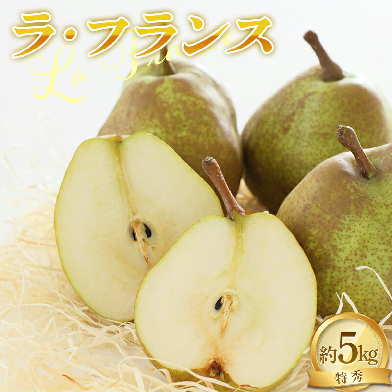【ふるさと納税】 【令和7年産先行予約】 ラ・フランス 約5kg (14～16玉 特秀 3～4L) 