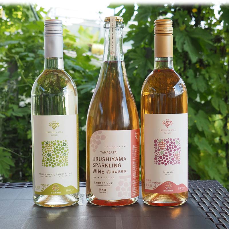 【ふるさと納税】 果樹園生まれの 漆山果樹園ワイン 「漆山ワイン (デラウェア) + 漆山ワイン (シャイン＆ロザリオ) + 漆山スパークリングワイン (デラウェア)」 3種 各750ml 計3本セット 『漆山果樹園』 山形県 南陽市 [2079]