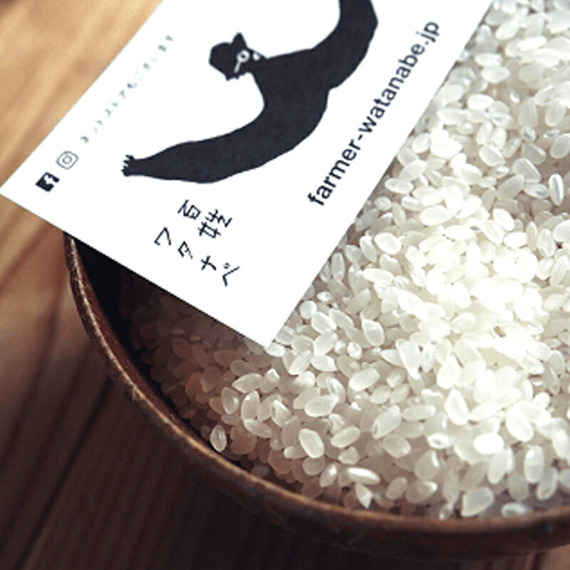 【ふるさと納税】【令和7年産 新米 先行予約】 特別栽培米 つや姫 (玄米) 10kg 《令和7年10月中旬～発送》 『最上園』 米 ご飯 農家直送 山形県 南陽市 [2178-R7]