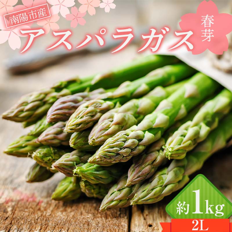 【ふるさと納税】【令和8年産先行予約】 アスパラガス (春芽) 約1kg (2Lサイズ 約25～30本前後) 《令和..