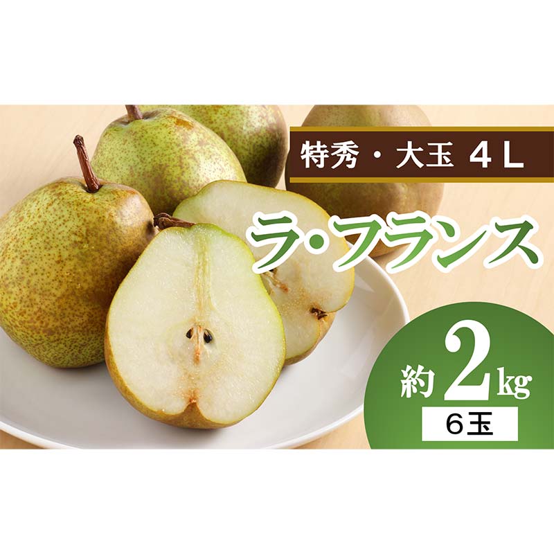 [令和8年産先行予約] 大玉ラ・フランス 約2kg (6玉 特秀 4L) [令和8年10月中旬〜発送] 『生産者 沼澤 裕太』 ラフランス 西洋梨 洋なし 果物 フルーツ デザート 山形南陽産 山形県 南陽市 [2250-R8]