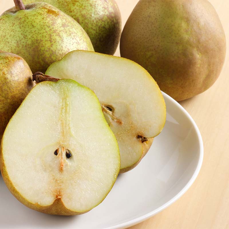 【ふるさと納税】 【令和8年産先行予約】 大玉ラ・フランス 約2kg (6玉 特秀 4L) 《令和8年10月中旬～発送》 『生産者 沼澤 裕太』 ラフランス 西洋梨 洋なし 果物 フルーツ デザート 山形南陽産 山形県 南陽市 [2250-R8]