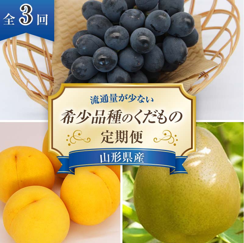 [令和7年産先行予約] [定期便3回] 流通量が少ない"希少品種の" くだもの定期便 『南陽中央青果市場』 山形県 南陽市 [1407-R7]