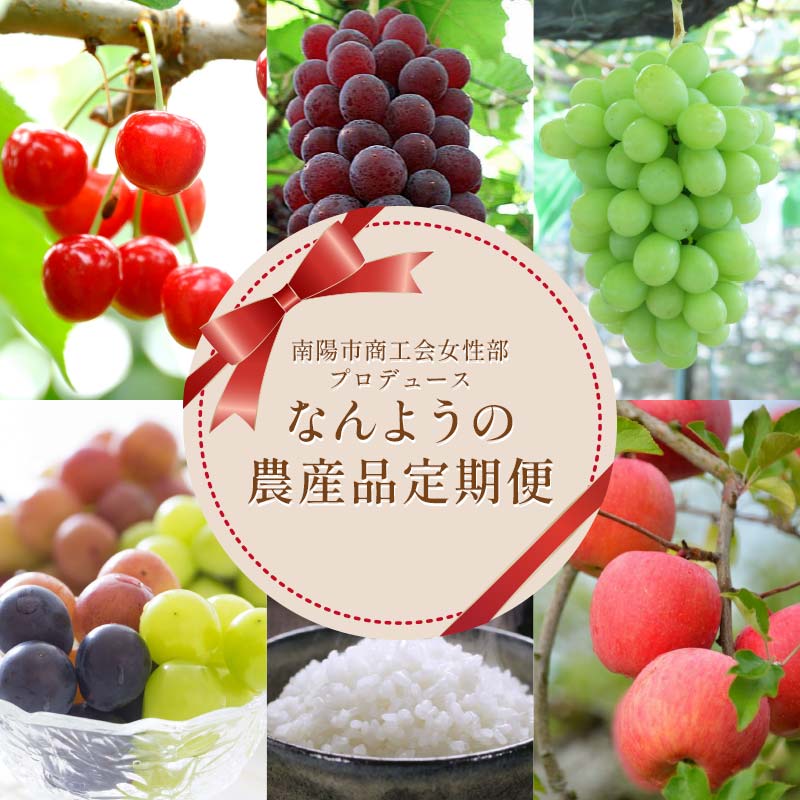 【ふるさと納税】《定期便5回》 南陽市商工会女性部プロデュース 【なんようの農産品 定期便】 山形県 南陽市 [2266]