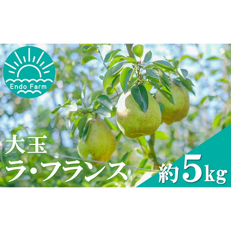 【ふるさと納税】【令和7年産先行予約】 【ネオニコフリー】 大玉 ラ・フランス 約5kg (12～14玉 特秀 4～5L) 《令和7年11月上旬～発送》 『遠藤果樹農園』 厳選 こだわり ラフランス 西洋梨 洋なし 果物 フルーツ デザート 山形県 南陽市 [1061-R7]