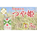 【ふるさと納税】 【令和7年産 新米 先行予約】 特別栽培米 つや姫 5kg 《令和7年10月中旬〜発送》 『松田観光果樹園』 山形南陽産 米 白米 ご飯 農家...