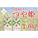 【ふるさと納税】 【令和7年産 新米 先行予約】 特別栽培米 つや姫 10kg 《令和7年10月中旬〜発送》 『松田観光果樹園』 山形南陽産 米 白米 ご飯 農...