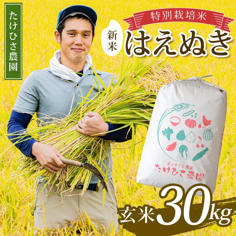 楽天市場】はえぬき 30kg（玄米｜米・雑穀）：食品の通販
