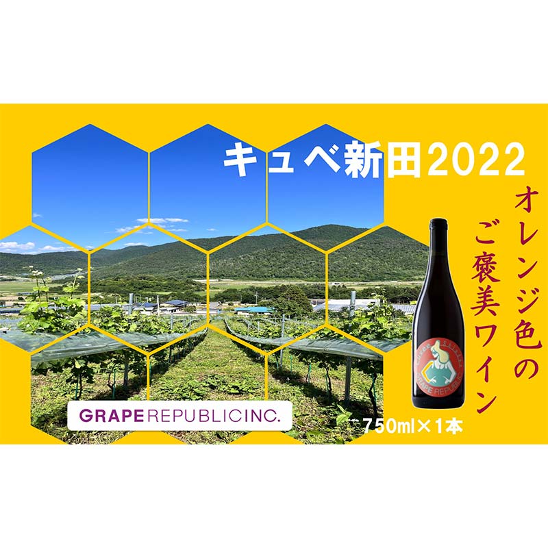 [数量限定] オレンジワイン「キュベ新田2022」 750ml × 1本 『(株)グレープリパブリック』 山形県 南陽市 [2361]