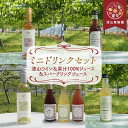 【ふるさと納税】漆山果樹園ミニドリンクセット 「漆山ワイン & 果汁100%ジュース & スパークリングジュース」 計7本 『漆山果樹園』 山形県 南陽市 [2...