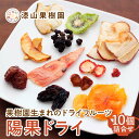 【ふるさと納税】 果樹園生まれの ドライフルーツ 「陽果ドライ」 10個詰合せ (枝付き干しぶどう入り) 『漆山果樹園』 デラウェア シャインマスカット 山形県...
