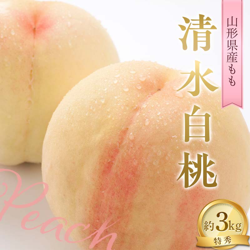 【ふるさと納税】【令和8年産先行予約】 もも「清水白桃」 約3kg (11～15玉 特秀) 《令和8年8月中旬～..
