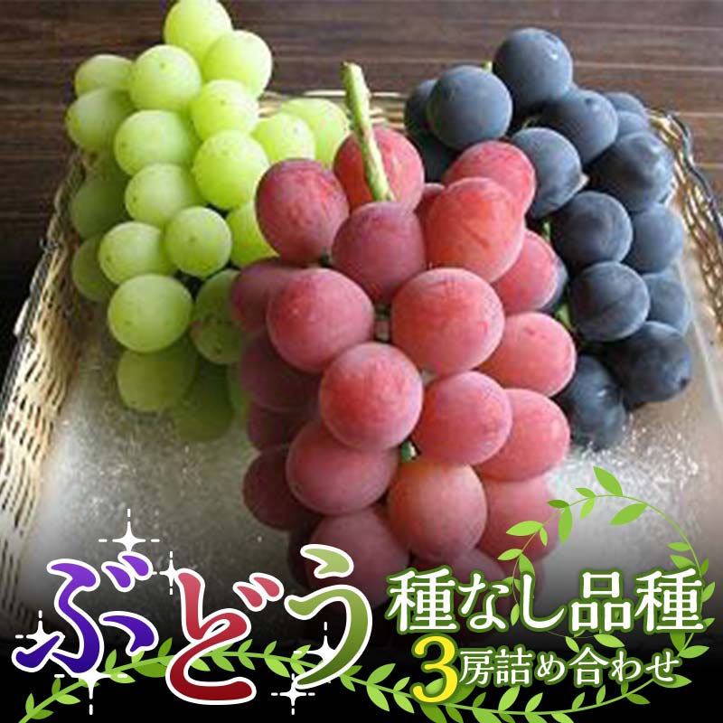 [令和8年産先行予約] 高級ぶどう 種なし品種 3房詰合せ [令和8年9月中旬〜発送] 『漆山果樹園』 葡萄 ぶどう ブドウ 種なし 新鮮 果物 フルーツ デザート 山形県 南陽市 [1520-R8]