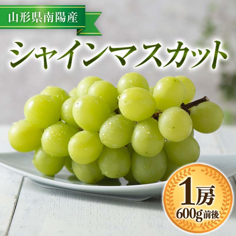 [令和8年産先行予約] シャインマスカット 600g前後 (1房) [令和8年9月中旬〜発送] 『漆山果樹園』 マスカット 葡萄 ぶどう ブドウ 果物 フルーツ デザート 山形県 南陽市 [811-R8]