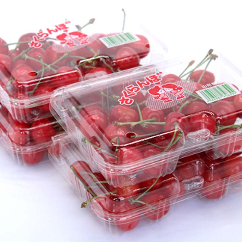 【ふるさと納税】 【令和8年産先行予約】 さくらんぼ 「佐藤錦または紅秀峰」 720g (180g×4パック 秀 M以上) 《令和8年6月中旬～発送》 『南陽中央青果市場』 小分け フードパック サクランボ 果物 フルーツ 山形県 南陽市 [2583]