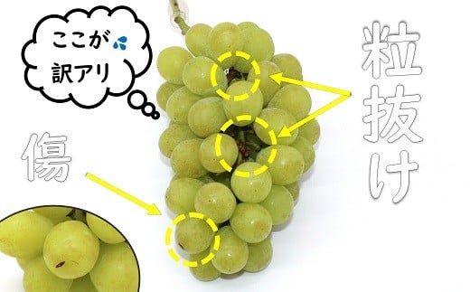 【ふるさと納税】 【令和7年産先行予約】 〈訳あり品 家庭用〉 冬のシャインマスカット 約1.7kg (2～3房 秀) 《令和7年12月中旬～12月25日発送》 『沼沢農園』 ぶどう 葡萄 ブドウ 果物 フルーツ デザート 山形県 南陽市 [2598]