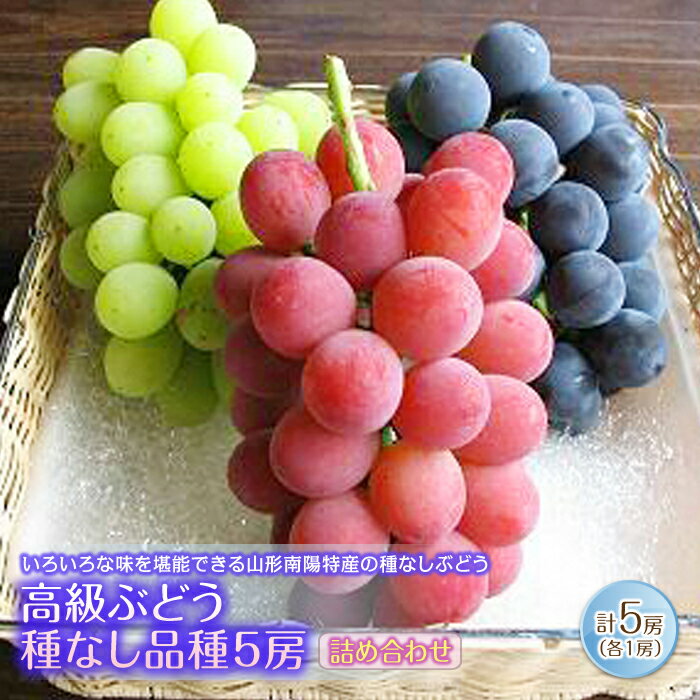 【令和6年産先行予約】 高級ぶどう 種なし品種 5房詰合せ 《令和6年9月中旬～発送》 『漆山果樹園』 山形県 南陽市 [662]