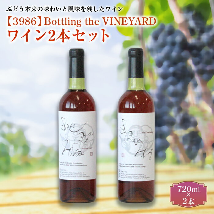 【ふるさと納税】SanQueHadsu Bottling the VINEYARD ワイン2本セット 998