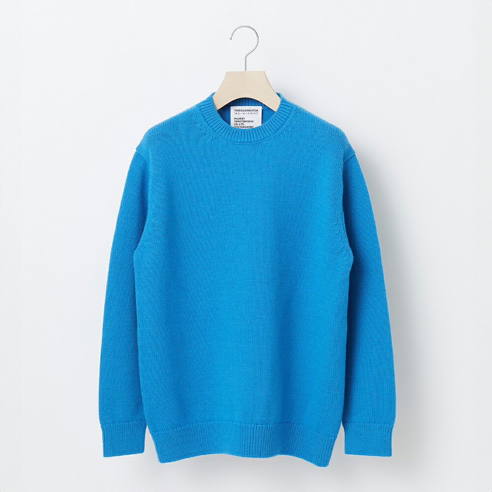 【ふるさと納税】 ≪先行予約≫【THISISASWEATER.】A1 : A SWEATER IS ORDINARY BLUE ブルー カシミヤセーター 服 洋...