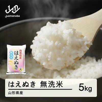 【ふるさと納税】山形県産 はえぬき 無洗米 5kg 【ふるさと納税】山形県産 はえぬき 無洗米 5kg