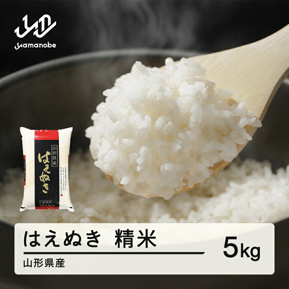 【ふるさと納税】米 はえぬき 精米 5kg 令和6年産 2024年産 山形県産 tf-hasxb5