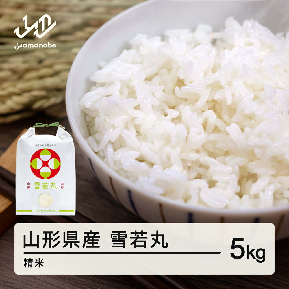米 雪若丸 精米 5kg 配送時期選べる 令和7年産 2025年産 山形県産 送料無料 ※沖縄・離島への配送不可 on-ywxxb5