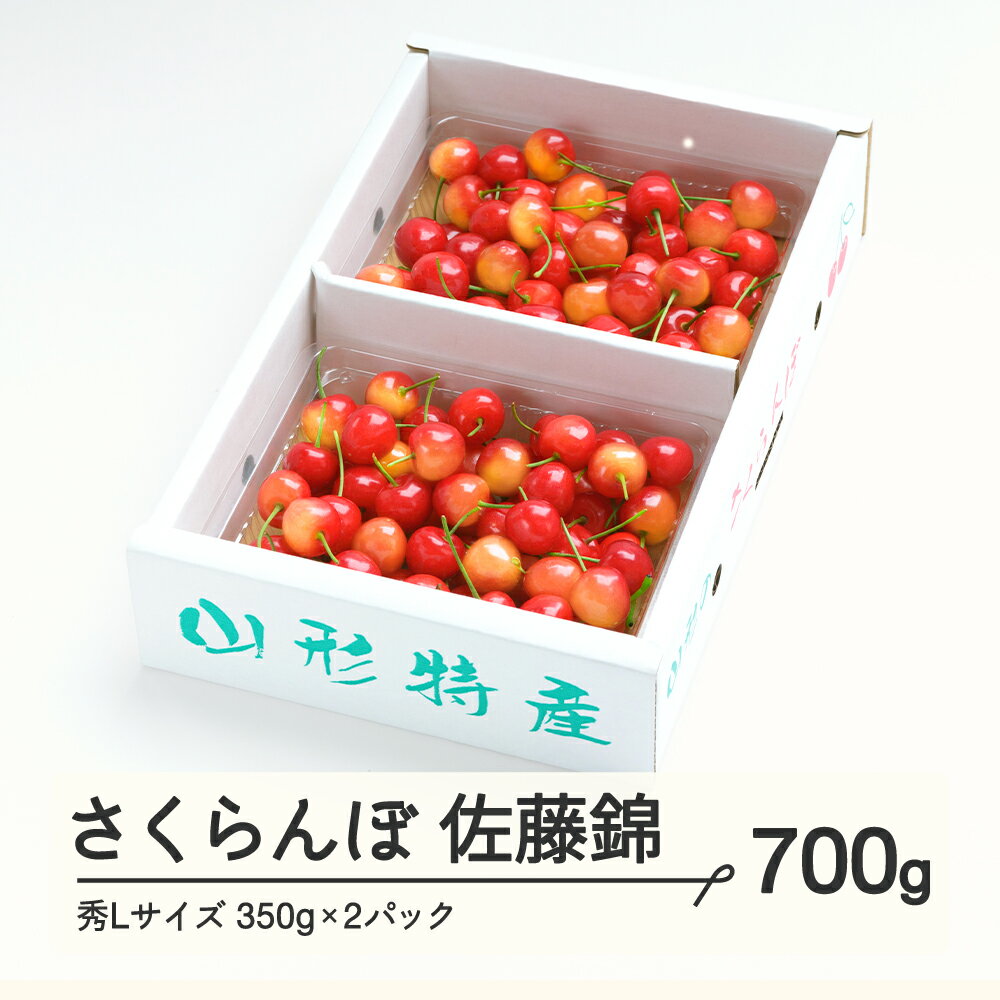 さくらんぼ 佐藤錦 秀Lサイズ プレゼント ギフト バラ詰め 700g(350g×2パック) 2024年産 令和6年産 山形県産 ns-snslb700