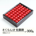 【ふるさと納税】さくらんぼ 佐藤錦 特秀2Lサイズ プレゼント ギフト 化粧箱鏡詰め 300g 2025年産 令和7年産 山形県産 送料無料 ns-snt2x3...