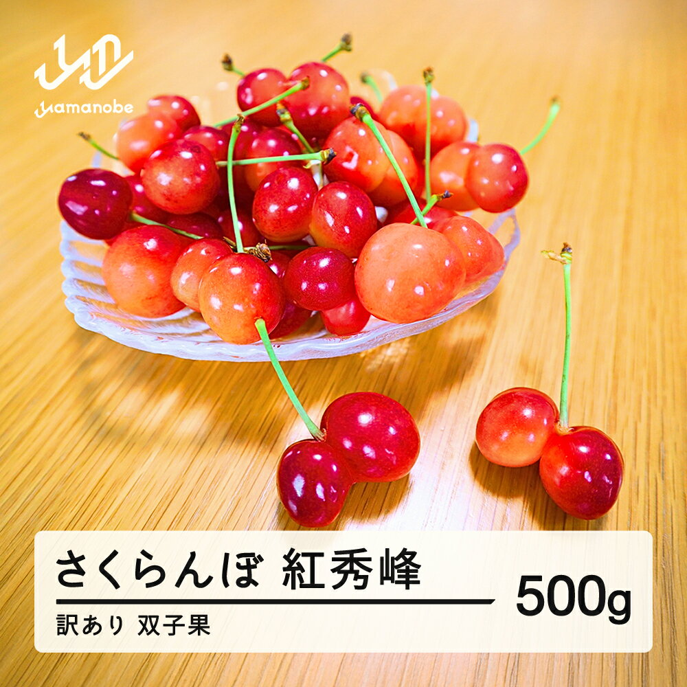 チェリー さくらんぼ 10kg訳あり品