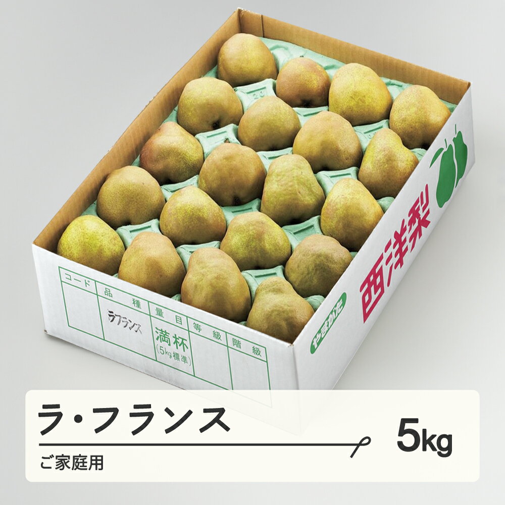 【ふるさと納税】 ラ・フランス〇秀品 ご家庭用 約5kg(12~20個程度) 洋梨 山形県産 tf-lamxx5のサムネイル