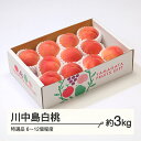 【ふるさと納税】もも 桃 川中島白桃 特選品 約3kg(6~12個程度) 山形県産 送料無料 tf-moknt3※沖縄・離島への配送不可