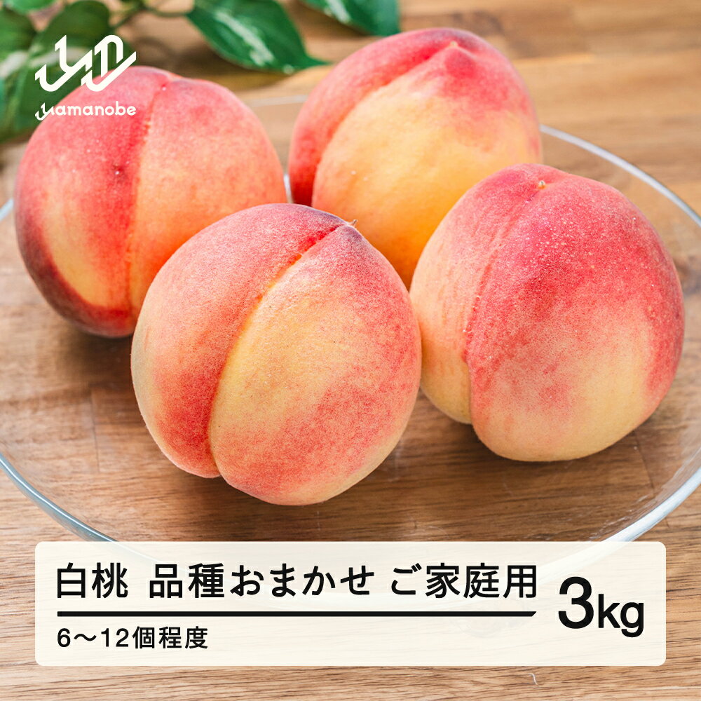 【ふるさと納税】【先行予約】桃 品種おまかせ 白桃 もも ご家庭用 約3kg(6~12個程度) 2026年産 山形県..