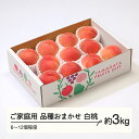 【ふるさと納税】もも 桃 品種おまかせ 白桃 ご家庭用 約3kg(6~12個程度) 山形県産 送料無料 tf-moywm3※沖縄・離島への配送不可