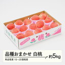 【ふるさと納税】【先行予約】もも 桃 品種おまかせ白桃 秀品程度 約5kg(10~25個程度) 2026年産 山形県産 送料無料 tf-moyws5 ※沖縄・離島への配送不可